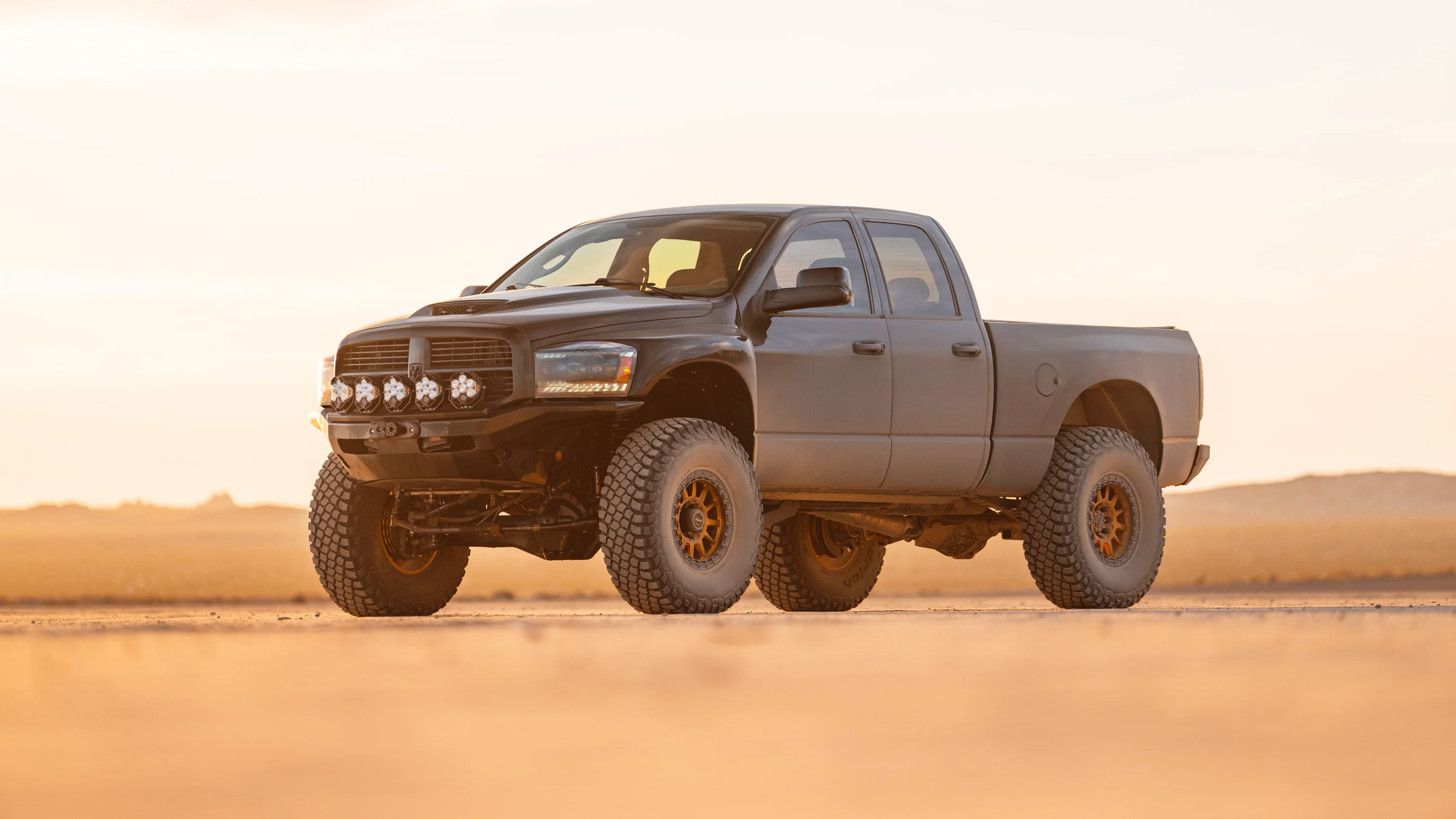 Dominate Every Terrain Today